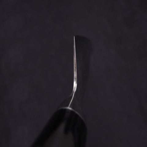 Gyuto VG-10 Damasco Mango de Pakka 210mm