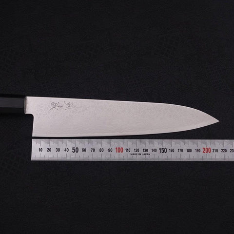 Gyuto ZA-18 Damascus Buffalo Ebony Handle 210mm